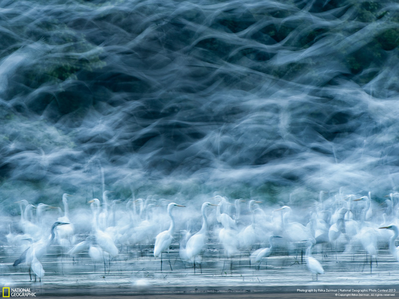 Illustration for article titled These are National Geographic's favorite images of the year